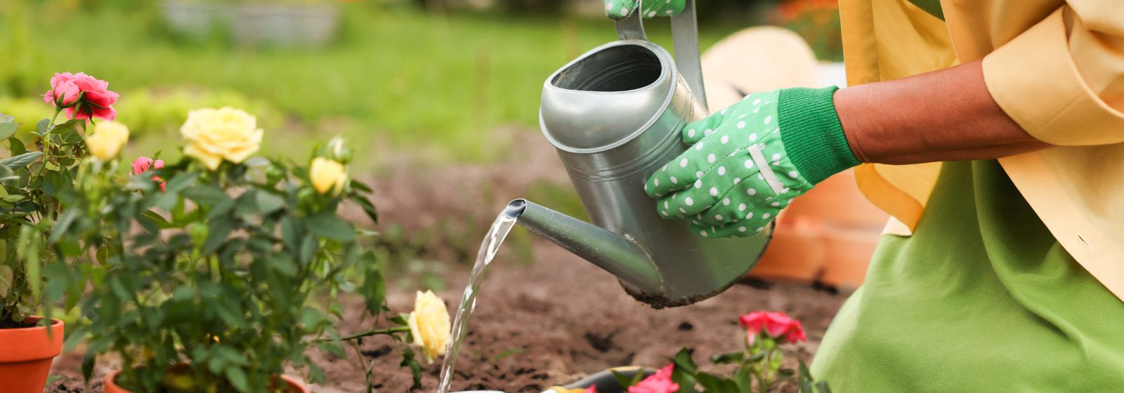 Outdoor & Utility